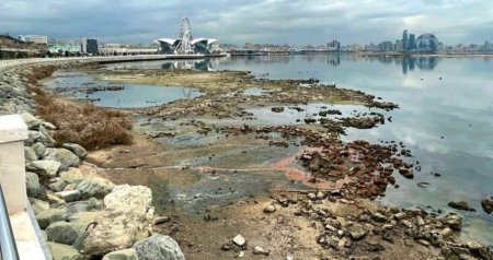 Xəzərdə suyun azalması ilə bağlı HƏYƏCAN TƏBİLİ – Qorxunc xəstəliklər ARTA BİLƏR