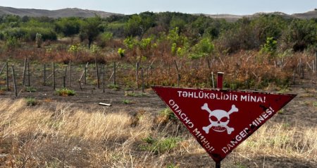 İşğaldan azad edilmiş ərazilərdə daha 234 mina AŞKARLANDI