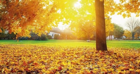 Rekord temperatur QEYDƏ ALINDI – Bu qış qar üzünə həsrət QALA BİLƏRİK...