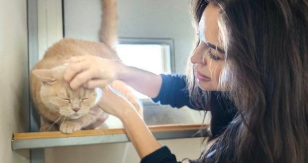 Leyla Əliyeva IDEA Heyvanlara Qayğı Mərkəzində - FOTO