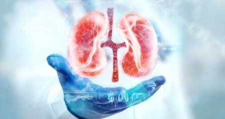 XXI əsrin səssiz EPİDEMİYASI: Bu xəstəlik dünyada ölüm səbəbləri arasında ilk 10-luqdadır