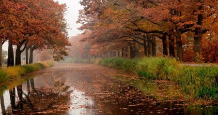 GÜNÜN HAVASI: Çiskinli yağış yağacaq