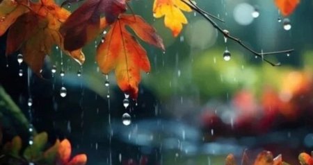 Bölgələrdə yağıntılı hava müşahidə olunur - FAKTİKİ HAVA