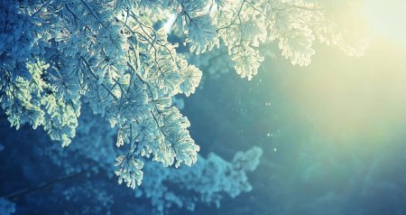 Hava kəskin DƏYİŞİR – Şaxta, qar...