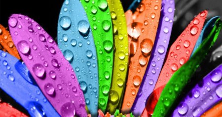 2026-cı ilin TREND RƏNGİ açıqlandı - FOTO