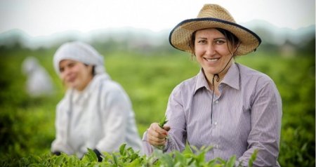 Fermerlərə ŞAD XƏBƏR – Bu metodla xəstəlik və zərərverici riskləri əvvəlcədən görmək mümkündür