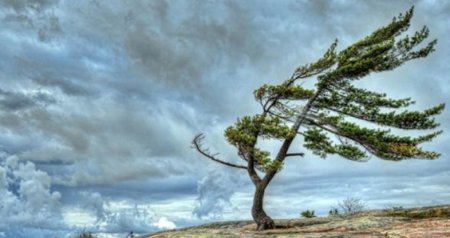 Bölgələrdə külək güclənib - FAKTİKİ HAVA
