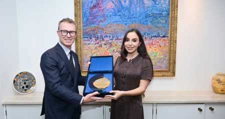 Leyla Əliyeva ÜST-nin Avropa üzrə Regional Ofisinin xüsusi nümayəndəsi ilə görüşüb - FOTO