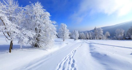 Bu gün Azərbaycana qış gələcək