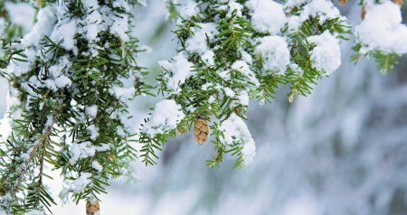 Hava KƏSKİN DƏYİŞİR &ndash; Külək güclənəcək, qar yağacaq