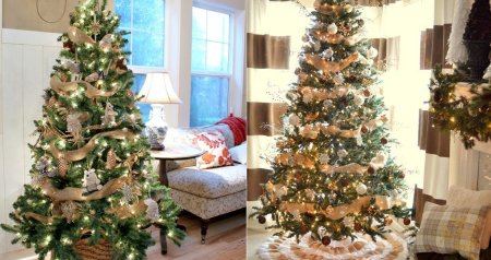 Allergiyası olanlar &ldquo;Yolka&rdquo;dan uzaq dursunlar &ndash; Həkimdən təhlükəsi barədə XƏBƏRDARLIQ