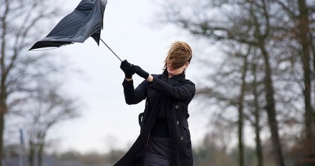 Güclü külək nə vaxtadək DAVAM EDƏCƏK? &ndash; FOTO