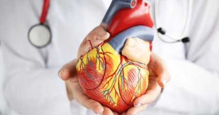 Şəhərdə yaşayanların DİQQƏTİNƏ: Bu səbəbdən ürək xəstəlikləri və piylənmə riskiniz var