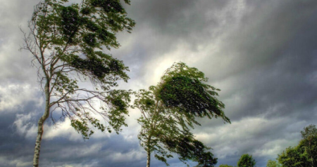 Ölkə ərazisində külək güclənəcək - XƏBƏRDARLIQ