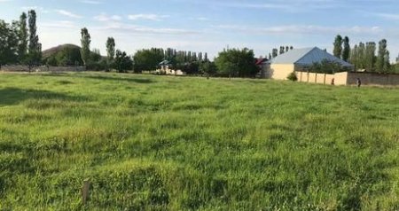 Bakıda torpaq sahələri bahalaşdı - VİDEO