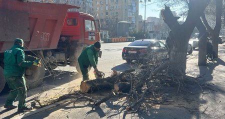 Küləkli havalarda təhlükəsizlik - Qurumuş və əyilmiş ağaclar öncədən KƏSİLİR?