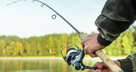 Balıq ovu üçün kvota təsdiqləndi &ndash; QİYMƏTLƏR