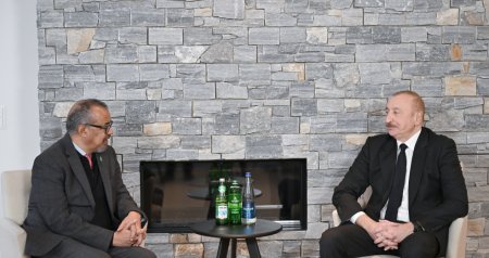 Prezident Davosda ÜST-nin Baş direktoru ilə görüşdü - FOTO/VİDEO