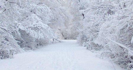 Bu rayonda qarın hündürlüyü 85 santimetrə çatıb - FAKTİKİ HAVA