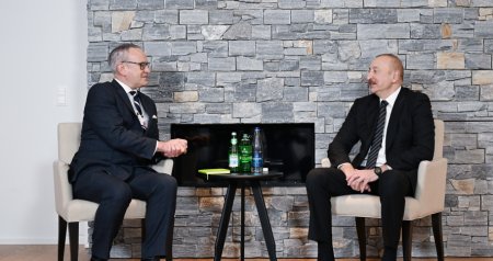 İlham Əliyev Adrian Makdonaldla görüşdü &ndash; FOTO