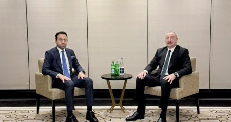 İlham Əliyev Əbu-Dabidə Müsəlman Ağsaqqalları Şurasının baş katibi ilə görüşdü - VİDEO