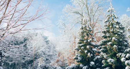 Qar yağacaq, temperatur 8 dərəcə enəcək &ndash; XƏBƏRDARLIQ