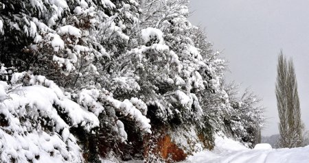 FAKTİKİ HAVA: Daşkəsən və Şahdağa qar yağır