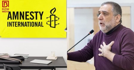 &ldquo;Amnesty İnternational&rdquo;ın selektiv ədalət SİNDROMU - Vardanyan faktoru və İKİLİ STANDARTLAR