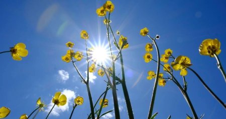 Faktiki hava AÇIQLANDI: Bakıda 26 dərəcə isti...