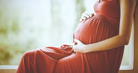 Sosial şəbəkələrdə surroqat ana "OVU&rdquo; &ndash; Onları hansı cəza gözləyir? &ndash; FOTOFAKT