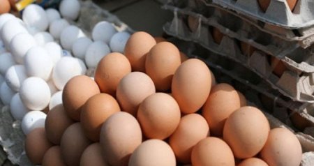 Yumurta ucuzlaşacaq - BU TARİXDƏN
