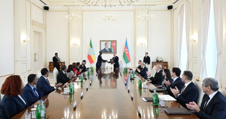 İlham Əliyevin Efiopiyanın Baş naziri ilə geniş tərkibdə GÖRÜŞÜ: Mühüm sənədlər imzalandı - FOTO