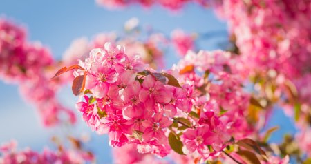 Mart ayının HAVASI: 28 dərəcə isti olacaq &ndash; RƏSMİ