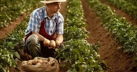 ŞAD XƏBƏR - Kredit faizlərinin bir hissəsini bu təşkilat ödəyəcək