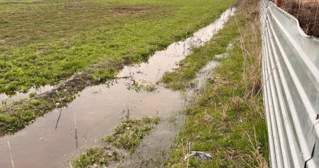 Ucarda həyətləri və zirzəmiləri su basdı &ndash; Sakinlər çətin vəziyyətdə - FOTO