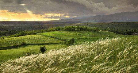 Bu gün Yel çərşənbəsidir