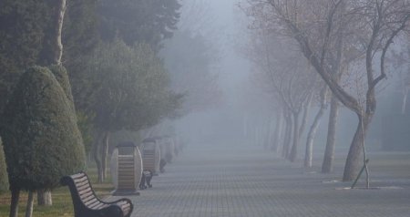 GÜNÜN HAVASI: 14 dərəcə isti, duman...