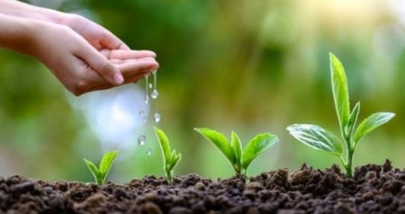 Bu gün İlaxır çərşənbədir