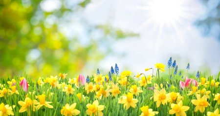 SABAHIN HAVASI - 20 dərəcə isti olacaq