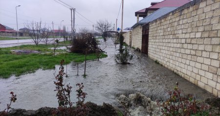 Qubada 10-dan həyəti çirkab suları basıb - FOTO/VİDEO