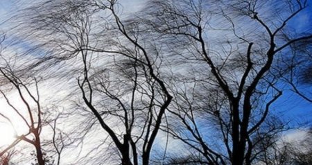 Azərbaycanda küləkli hava ilə bağlı SARI XƏBƏRDARLIQ