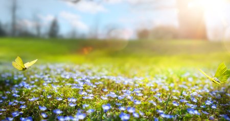 GÜNÜN HAVASI: 20 dərəcə isti, yağış, qar...