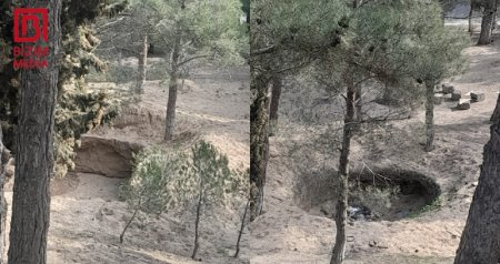 Sumqayıtın Nəsimi parkındakı ağaclar TƏHLÜKƏDƏ &ndash; VİDEO