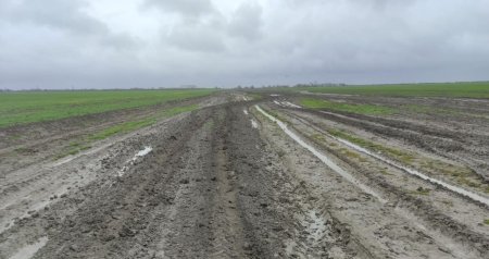 Əkin sahələrini su basan fermerlərin DİQQƏTİNƏ &ndash; Sığorta ilə bağlı RƏSMİ AÇIQLAMA