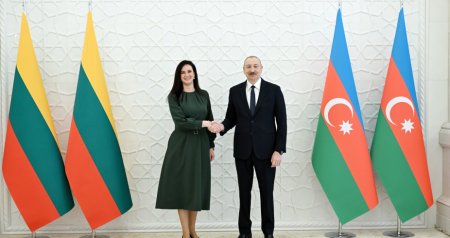 İlham Əliyev Litvanın Baş naziri ilə görüşdü - FOTO