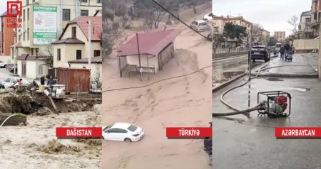Oxşar situasiya, fərqli reaksiya &ndash; Araşdırmaq yerinə günahlandırmağı seçmək YANLIŞI