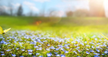 Əsl yaz havası olacaq &ndash; BU TARİXDƏ