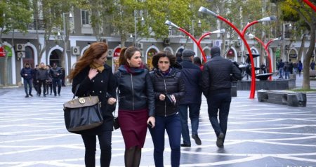 Rəngsizləşən DÜNYA - Niyə hamı soyuq tonlara üz tutur?