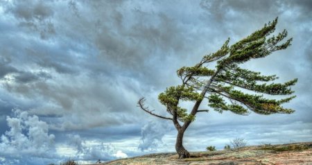 FAKTİKİ HAVA: Bakıda küləyin sürəti güclənir