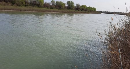 Kürdə suyun səviyyəsi KƏSKİN ARTDI &ndash; Daşqın təhlükəsi...